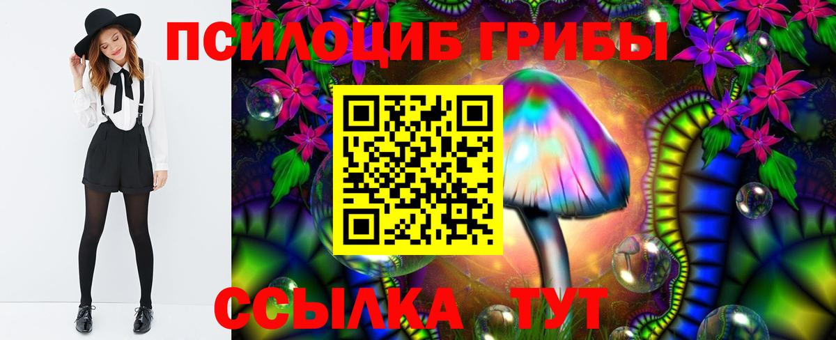 цены наркотик  Галлюциногенные грибы Cubensis  Вход с VPN  Бузулук 